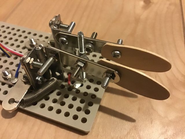 キャプションを入力できます