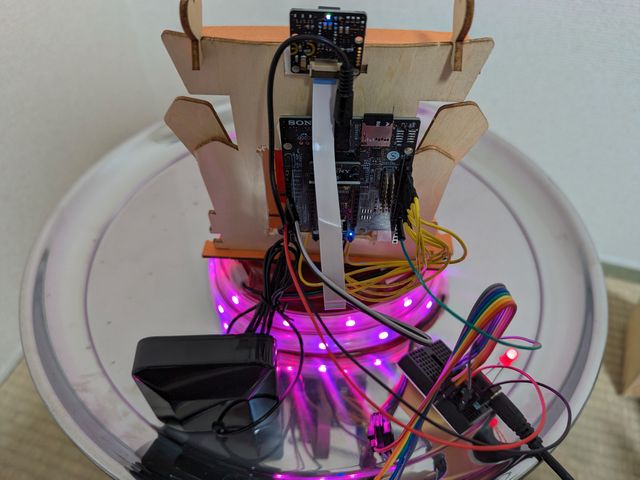 キャプションを入力できます