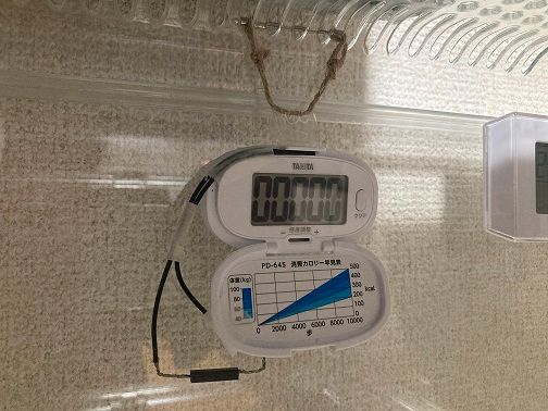 キャプションを入力できます