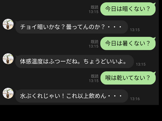 キャプションを入力できます