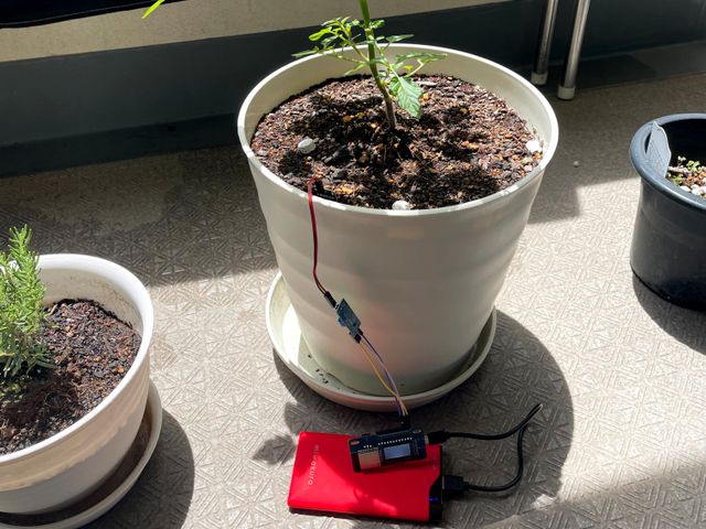 キャプションを入力できます