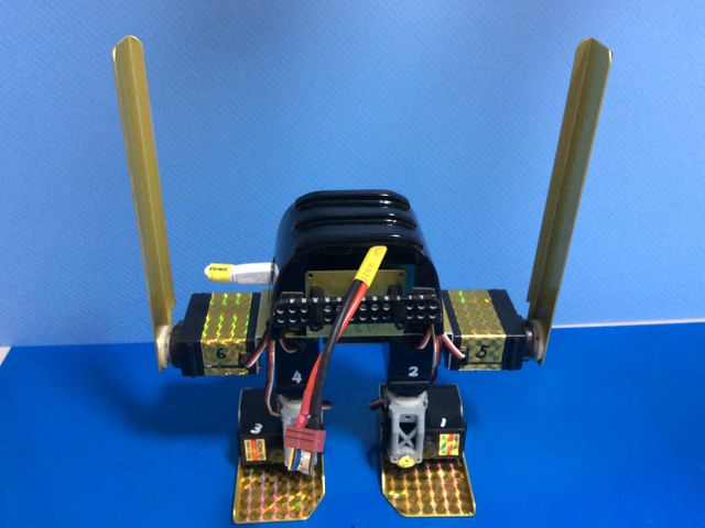 キャプションを入力できます