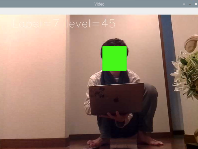 【認識結果】Label:認識した物, level:認識のスコア