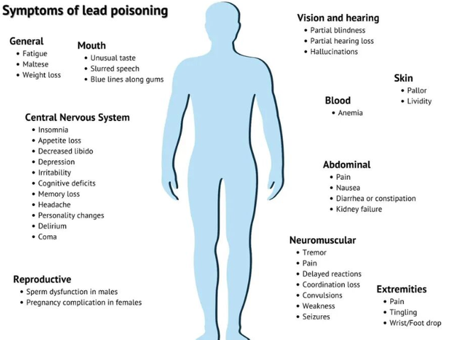 キャプションを入力できます
