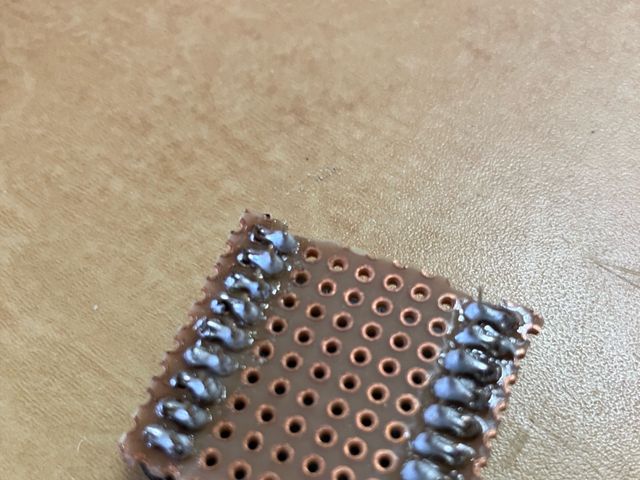 背面からの写真