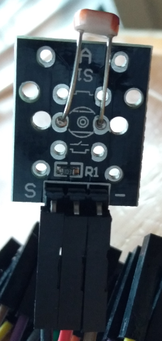 キャプションを入力できます