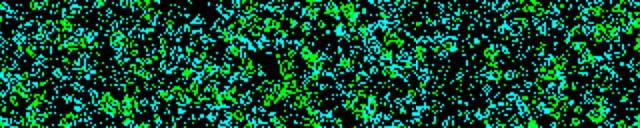 キャプションを入力できます