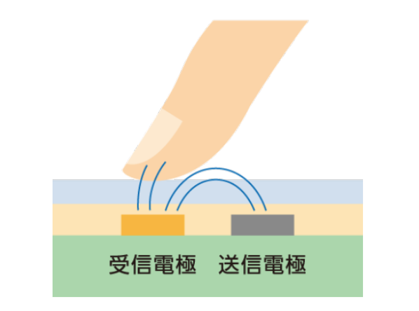 キャプションを入力できます