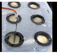 キャプションを入力できます