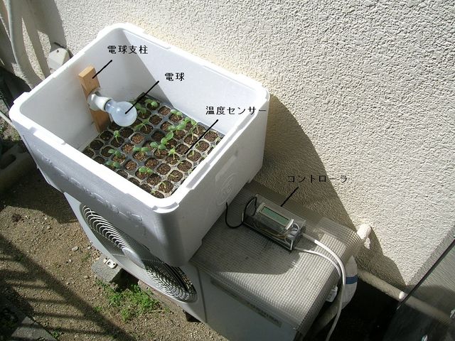 キャプションを入力できます