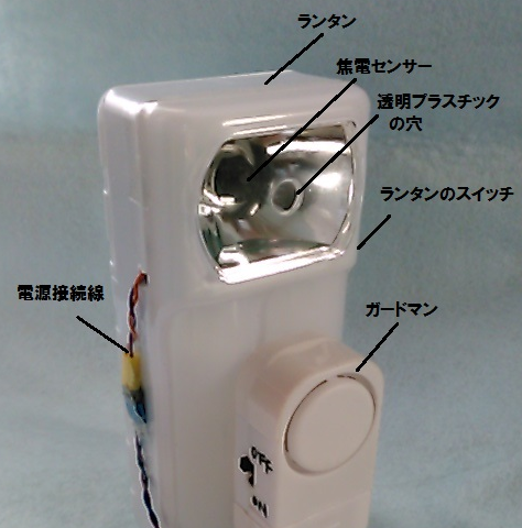 キャプションを入力できます