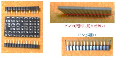 キャプションを入力できます