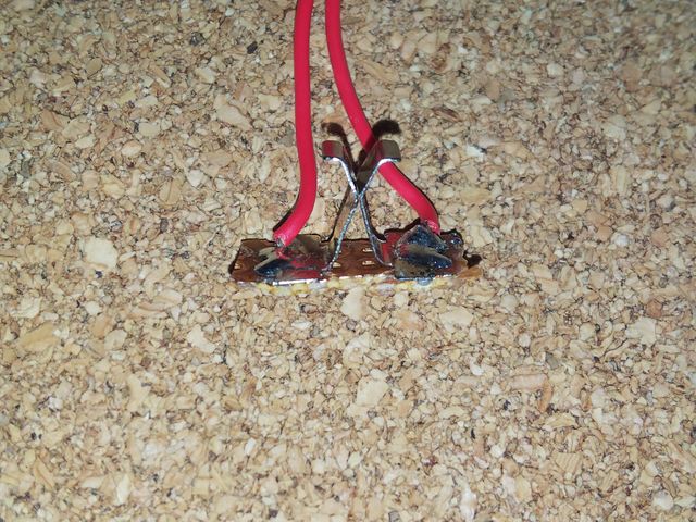 スイッチの接点部