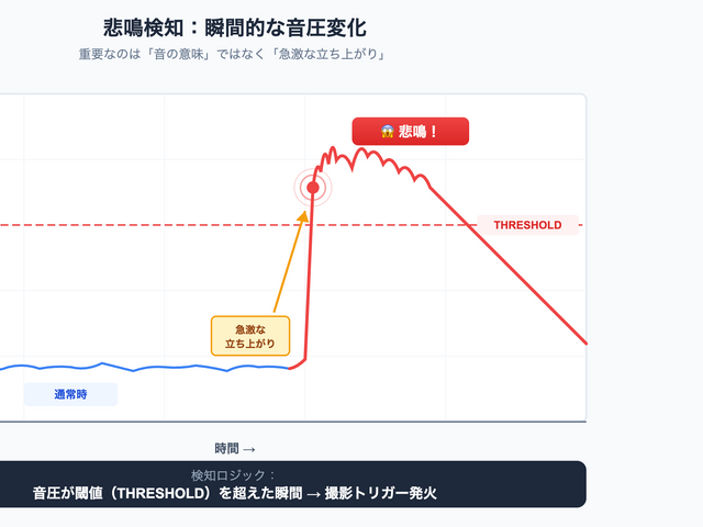 キャプションを入力できます