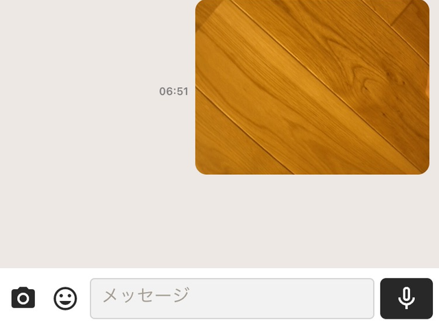 キャプションを入力できます