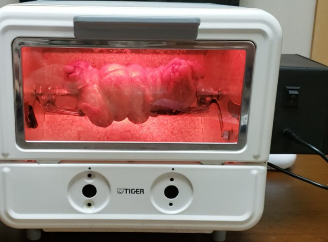 キャプションを入力できます