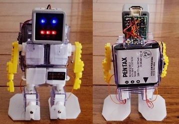 キャプションを入力できます