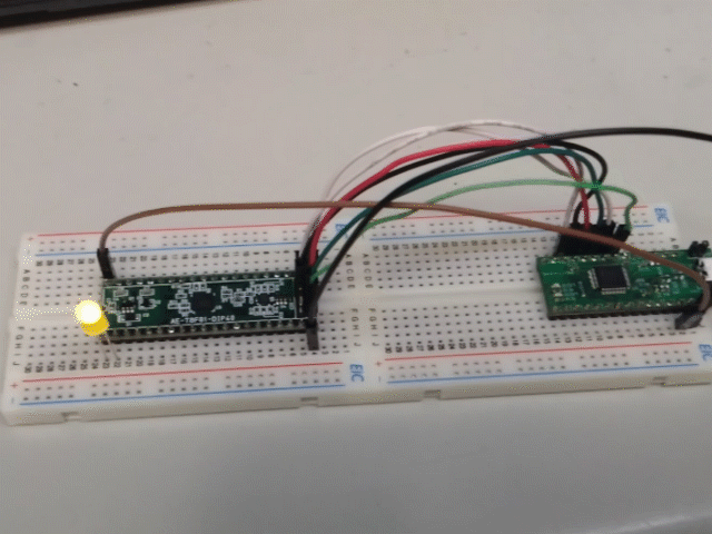 キャプションを入力できます