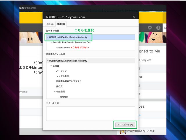 正しい証明書を選択してエクスポートする