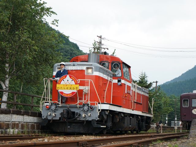日本国有鉄道DE10液体式ディーゼル機関車 at わたらせ渓谷鉄道