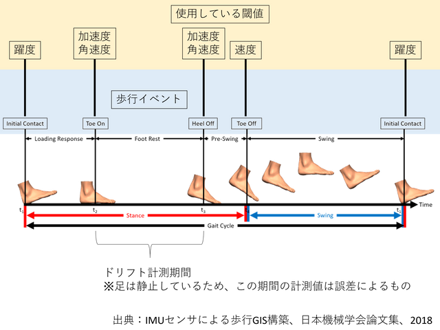 歩行中の足の層遷移の模式図