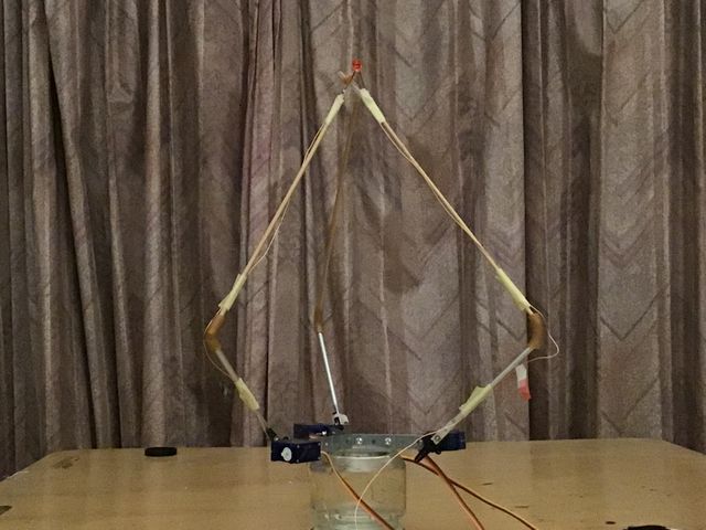 キャプションを入力できます