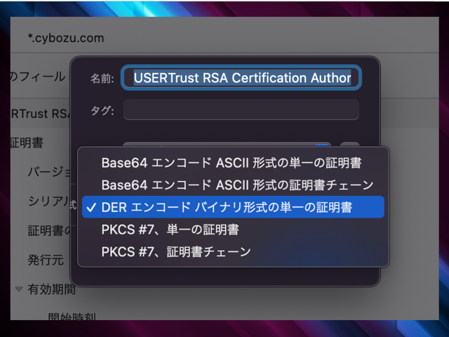 どのエンコーディングで証明書を保存するかを選択する