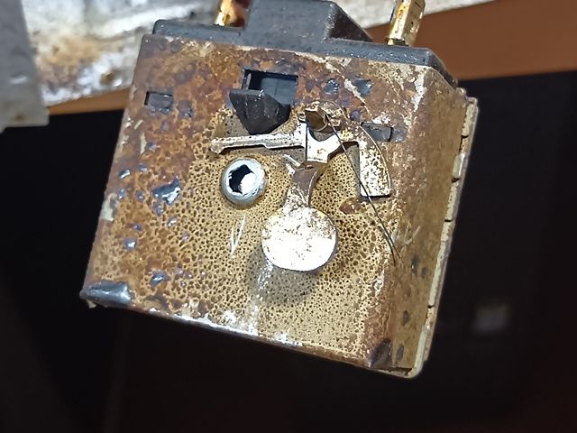 キャプションを入力できます
