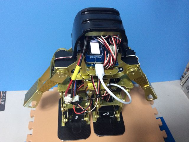 キャプションを入力できます