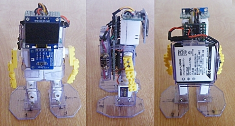 キャプションを入力できます