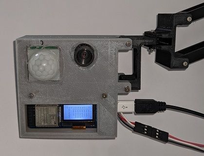 私が今回の主役です