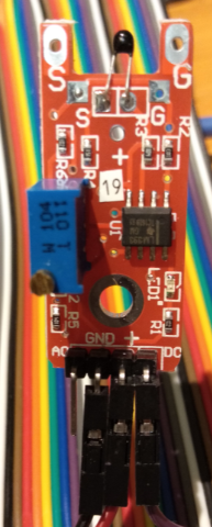 キャプションを入力できます