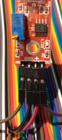 キャプションを入力できます