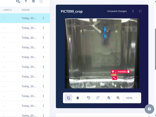 キャプションを入力できます
