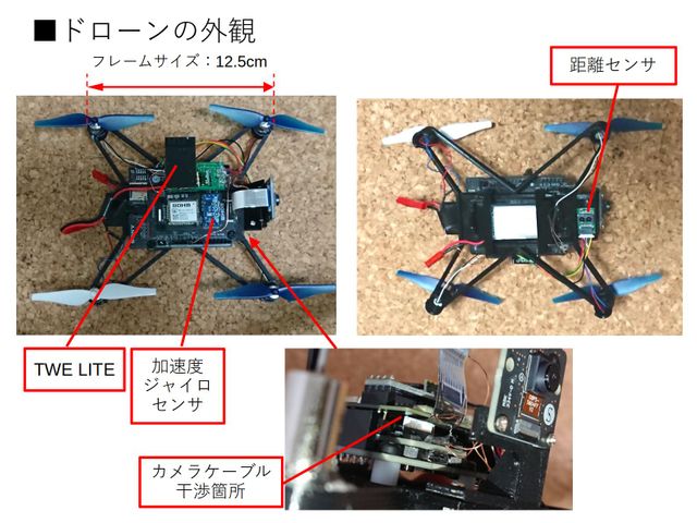 キャプションを入力できます