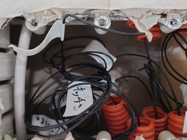 キャプションを入力できます