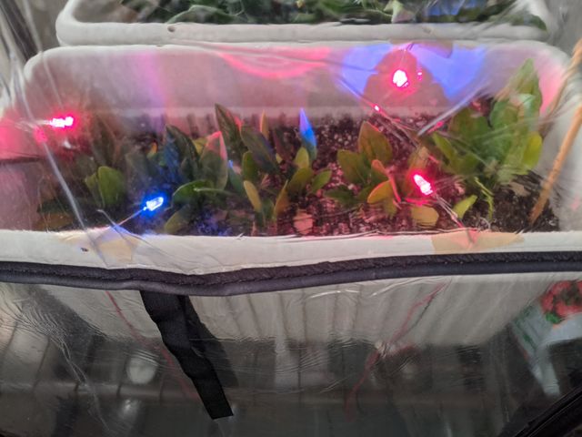 LEDが点灯している様子