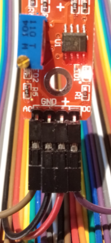 キャプションを入力できます