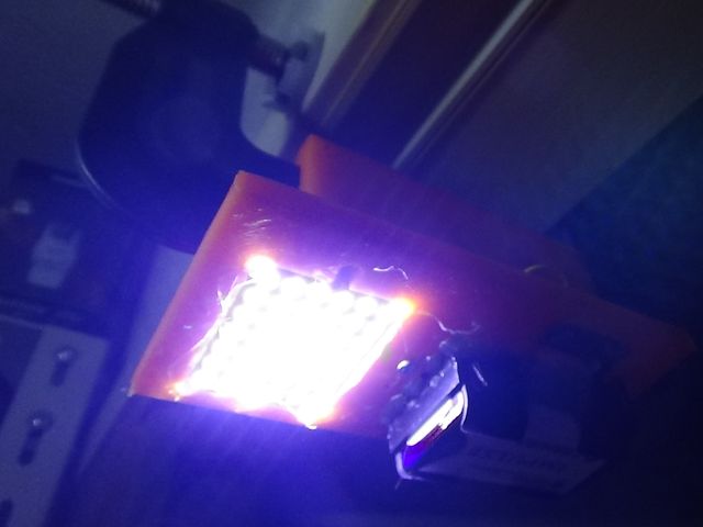 キャプションを入力できます