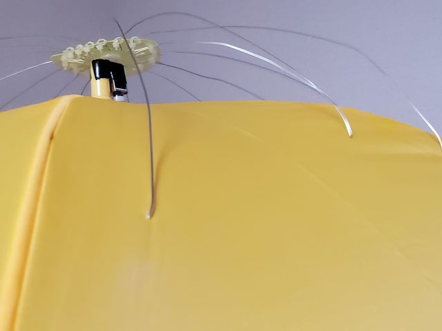 キャプションを入力できます