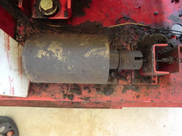 キャプションを入力できます