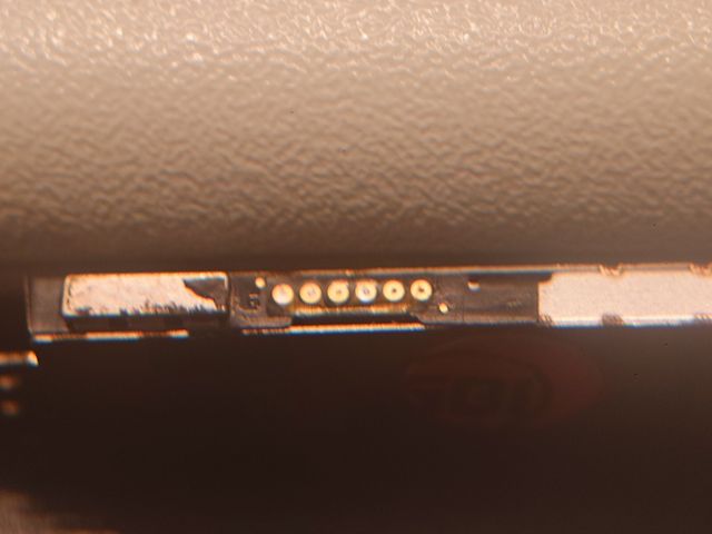 キャプションを入力できます