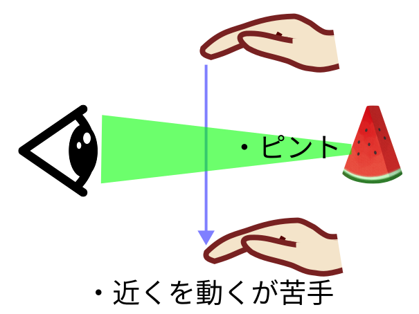 目で見る