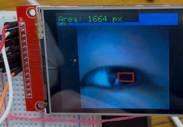 キャプションを入力できます