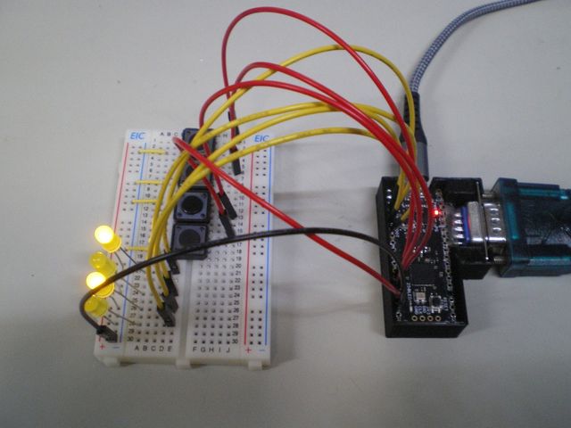 キャプションを入力できます