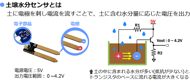 キャプションを入力できます