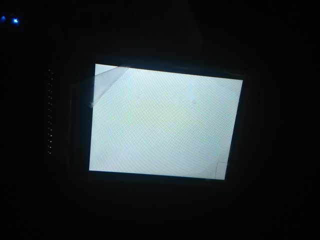 キャプションを入力できます