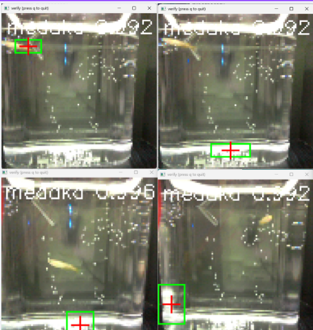 物体検出のテスト