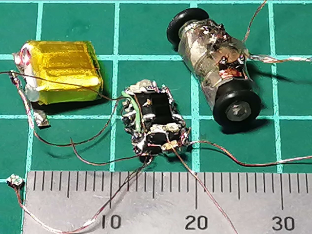 キャプションを入力できます