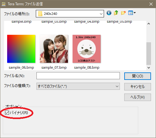 キャプションを入力できます